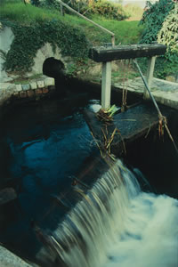 Moulin de l'écluse : ruisseau du vieux moulin
